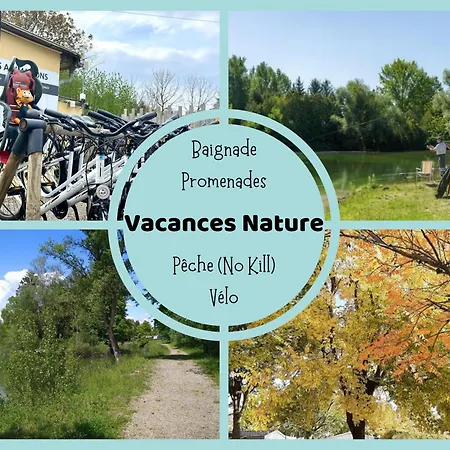 N004 - L'ecrin De Verdure - Climatise - Tv - Proche Europa Park Boofzheim