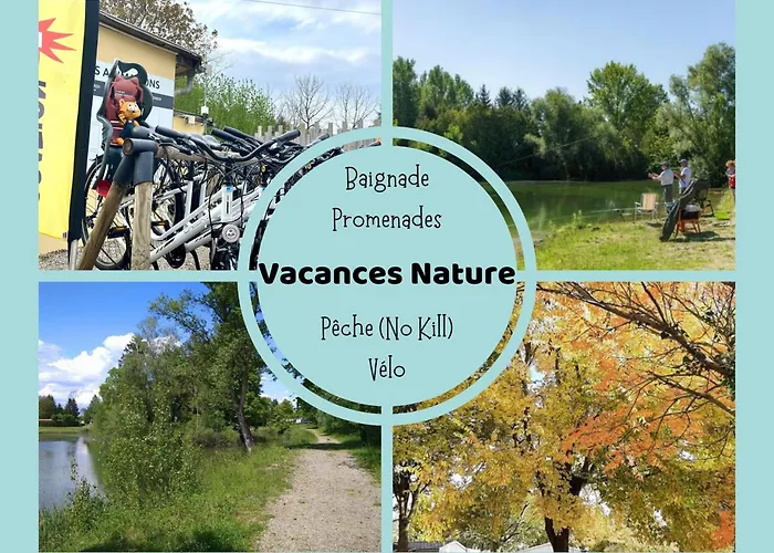 N004 - L'ecrin De Verdure - Climatise - Tv - Proche Europa Park Boofzheim